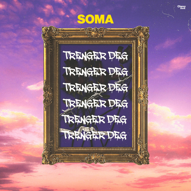 Trenger Deg cover
