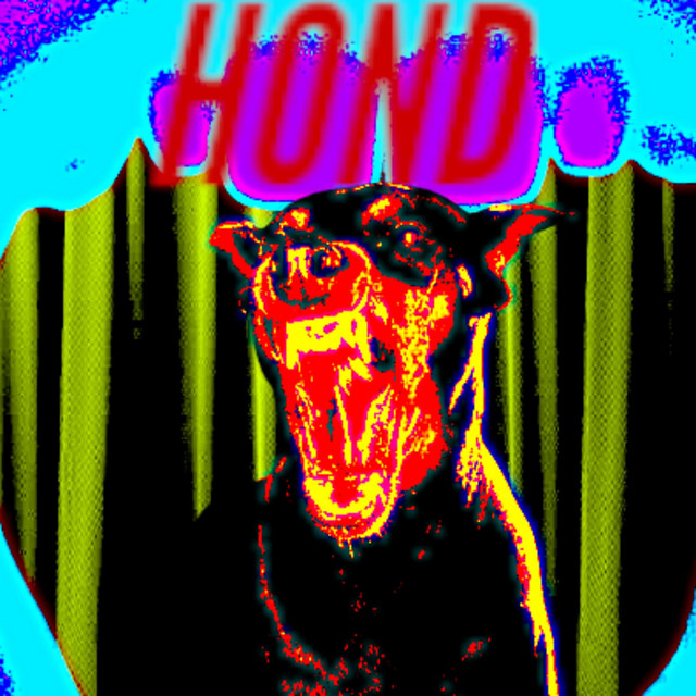 HOND a short film by Brandon Hartog cover art