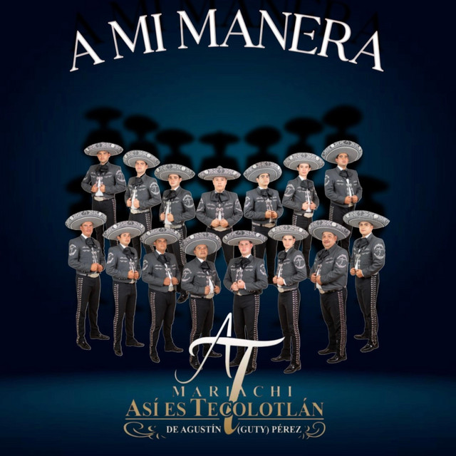 A mi manera cover