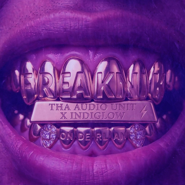 Wonderland Boiler Room Set The Freaknik Tape (Chopped & Screwed)
