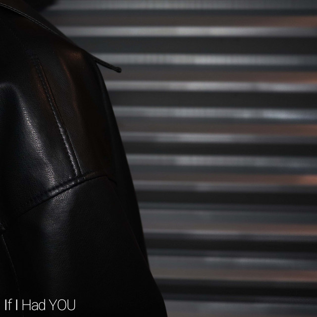 If I Had YOU cover art