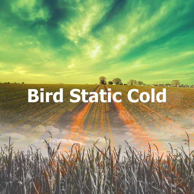 Bird Static Cold - Album by Field Recordings | Spotify