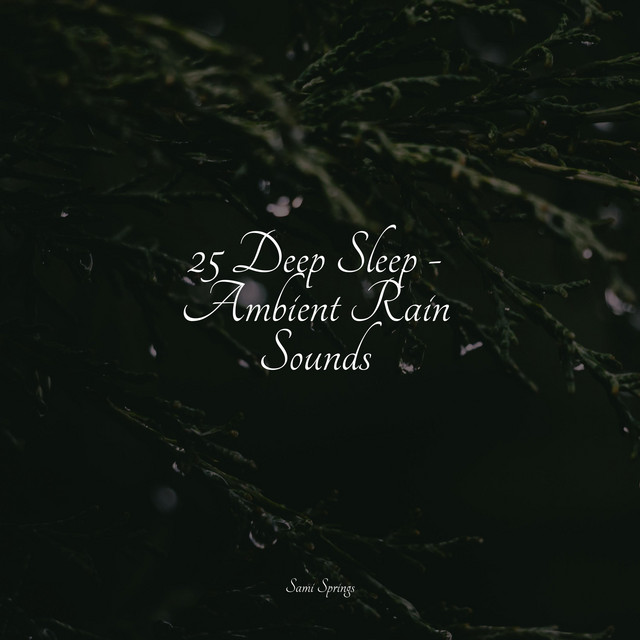 25 Deep Sleep - Ambient Rain Sounds - Album by Rain Shower Spa | Spotify
