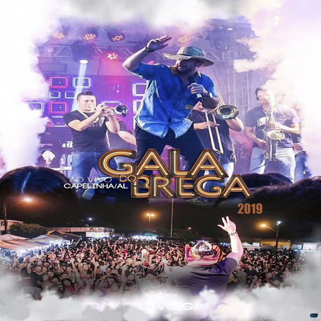 Ao Vivo em Capelinha / AL - 2019 cover art