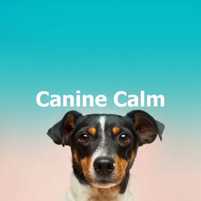 Canine Calm - Album by Relaxing Music for Dogs | Spotify