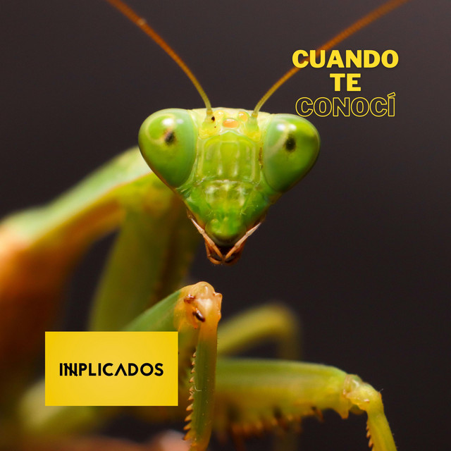 Cuando te Conocí cover art