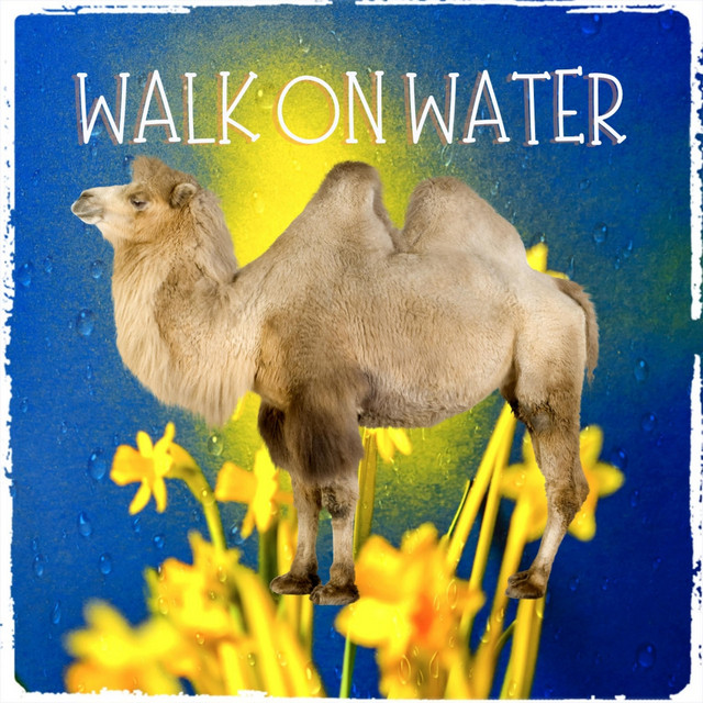 Walk On Water - Radio Edit
