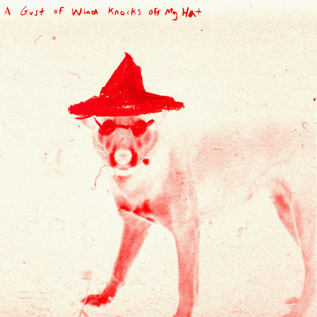 A Gust Of Wind Knocks Off My Hat cover art