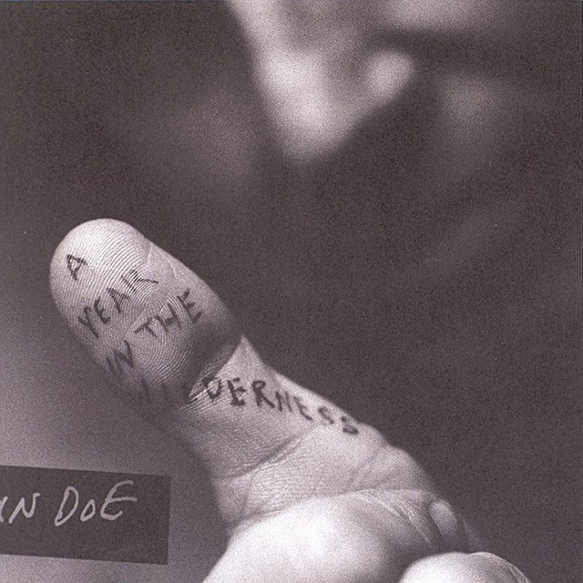 Omslag för A Year In The Wilderness av John Doe