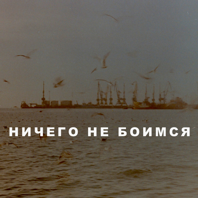 Обкладинка: Ничего не боимся — Дотла