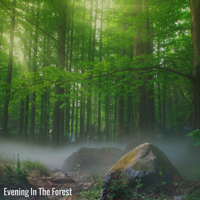 Evening In The Forest cover art