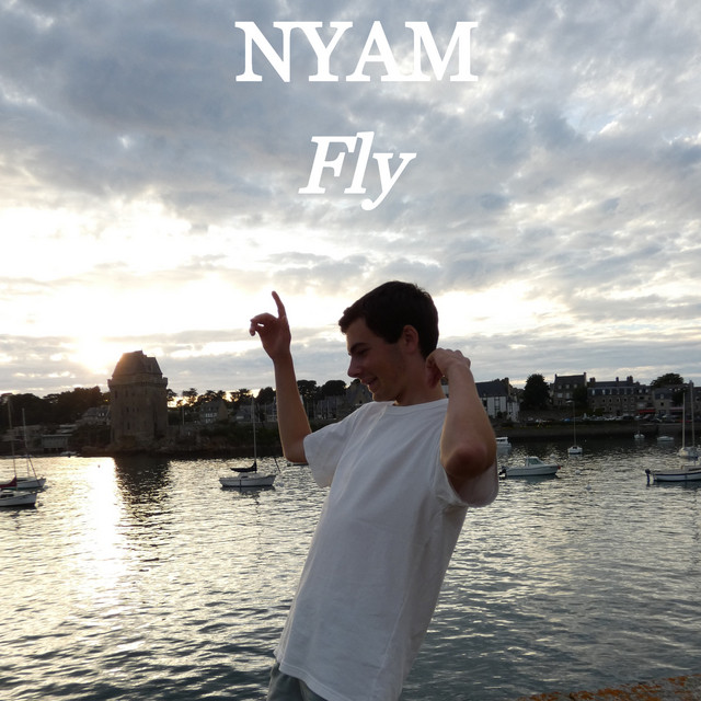 Fly cover art