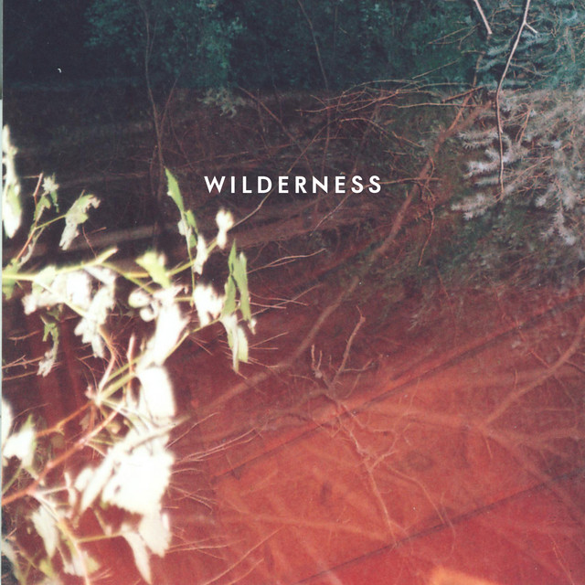 Wilderness cover art