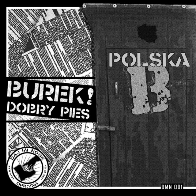 Polska B cover art