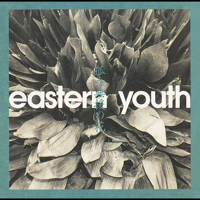 孤立無援の花 cover art