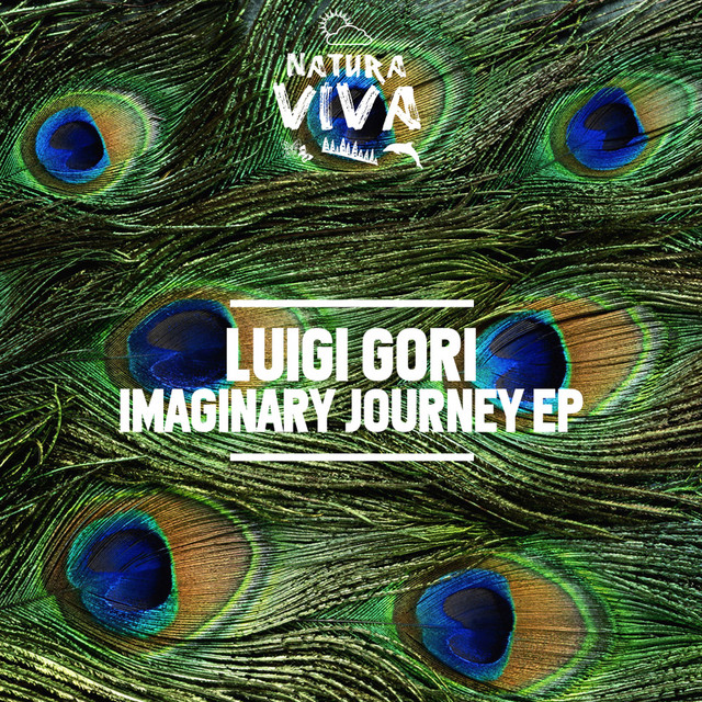 Обкладинка Luigi Gori — Imaginary Journey