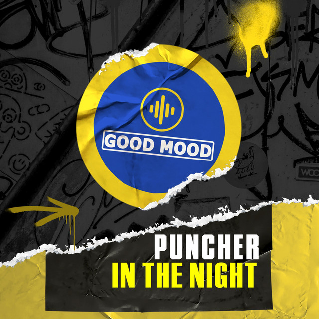 Cover art: In the Night — Puncher