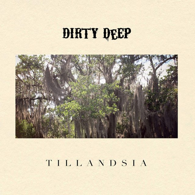 Tillandsia cover