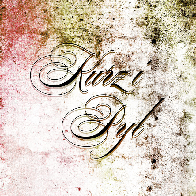 KURZ I PYŁ album image
