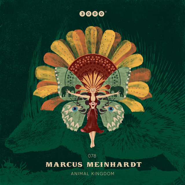 Animal Kingdom album art