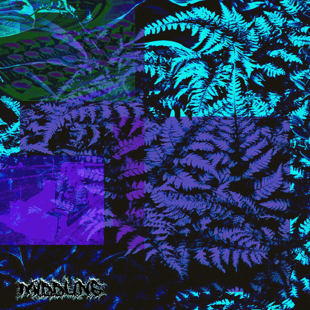 Frozen Oceans album image