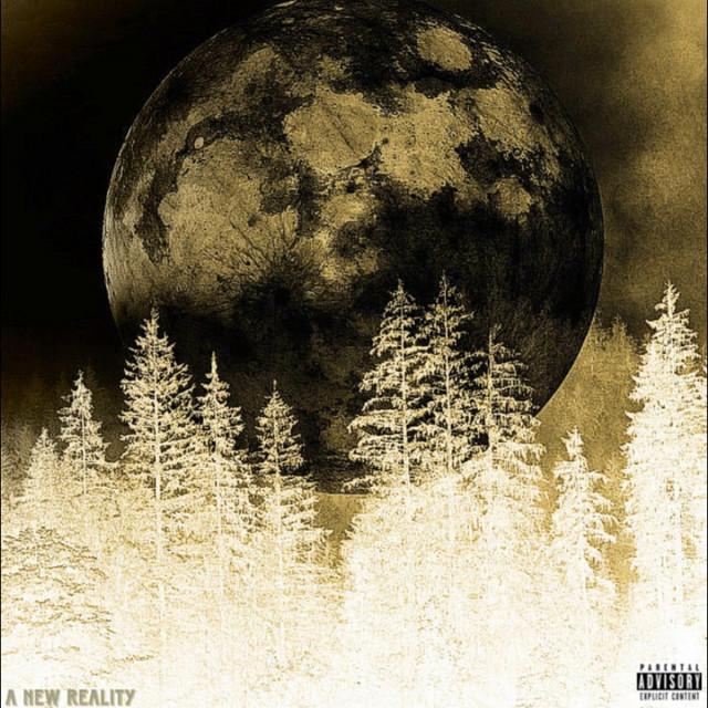 A New Reality cover art