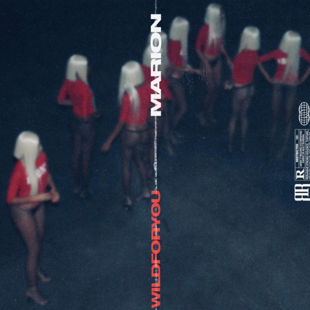 WILDFORYOU cover art