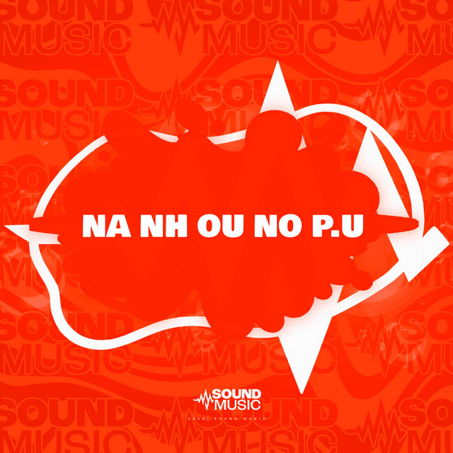 NA NH OU NO P.U