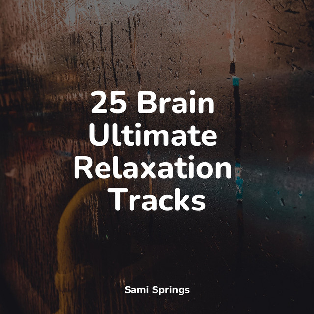 25 Brain Ultimate Relaxation Tracks - Album by Binaural Beats Brainwave ...