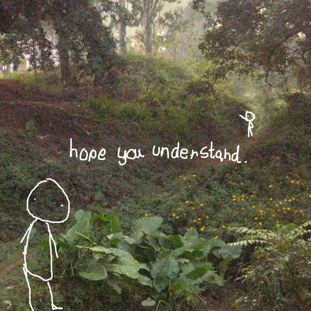 hope you understand cover art