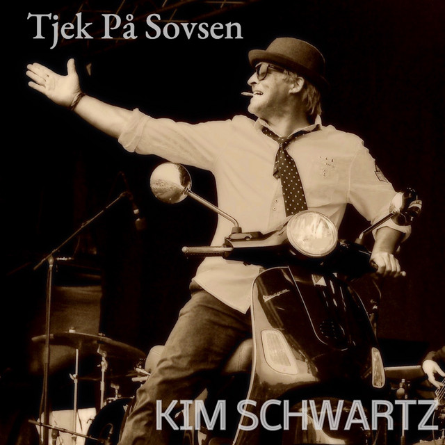 Tjek På Sovsen cover