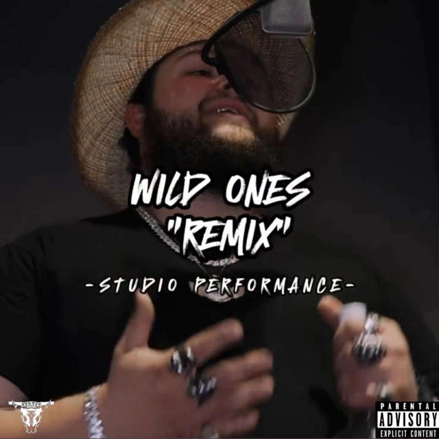 Wild Ones (Remix) cover art
