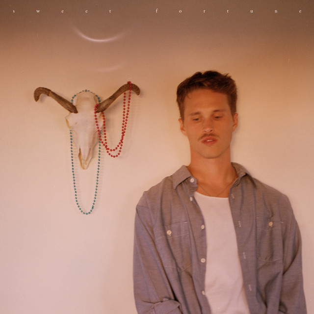 Secret Language cover art