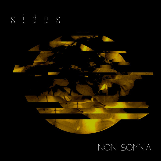 17 0 9 (single)