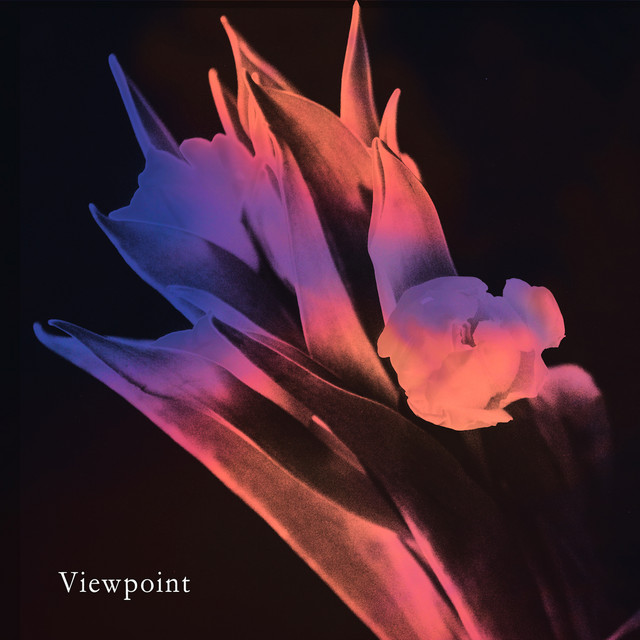 viewpoint cover art
