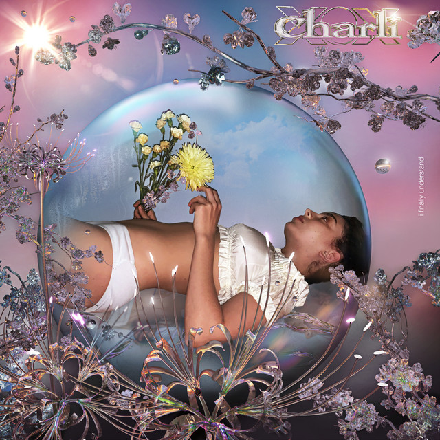 i finally understand by Charli xcx