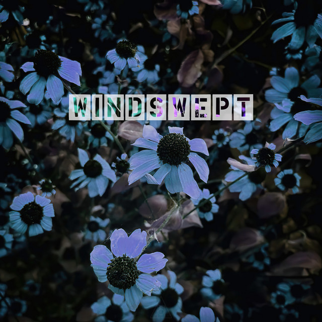 Обкладинка Neveroctober — Windswept