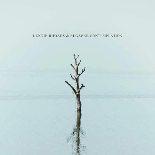 Contemplation album image
