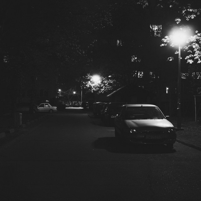 Light cover art