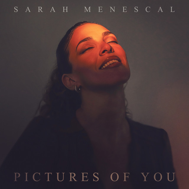 Pictures of You album image