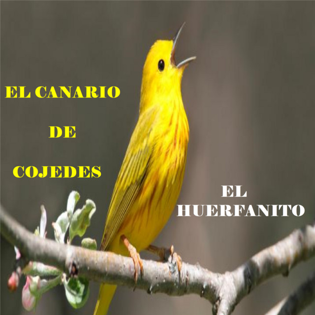 Recordándote cover art
