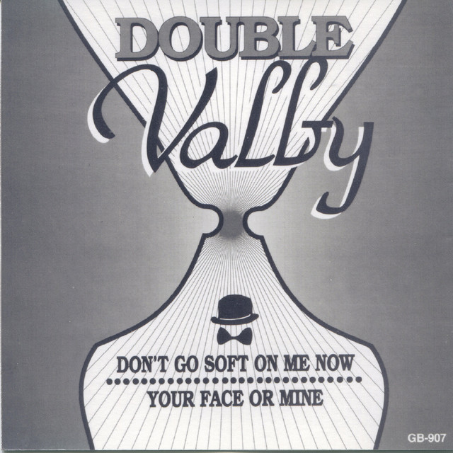 Double Valby (Don't Go Soft on Me Now / Your Face or Mine) cover art