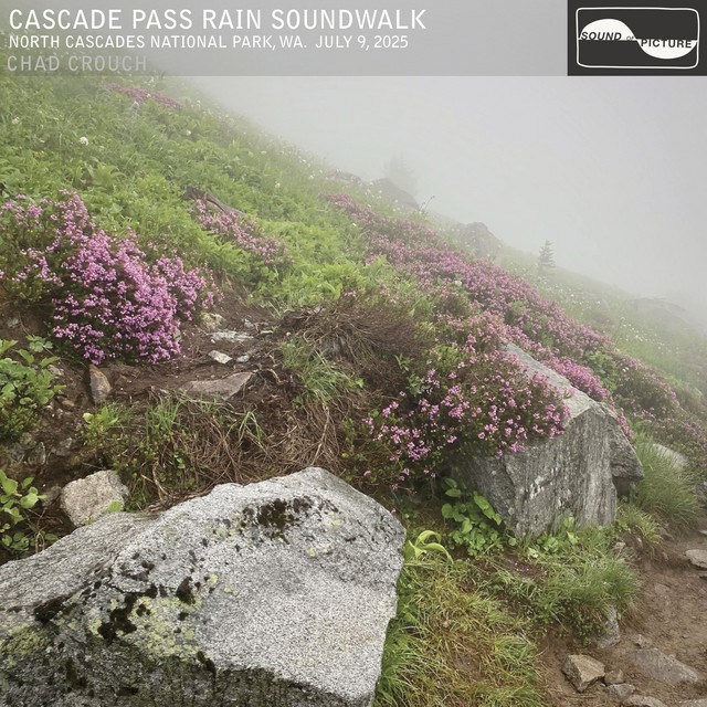 Cascade Pass Rain Soundwalk by Chad Crouch