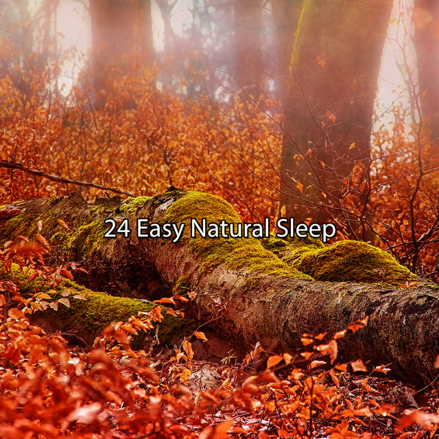 24 Easy Natural Sleep - Album by Sounds of Nature Noise | Spotify