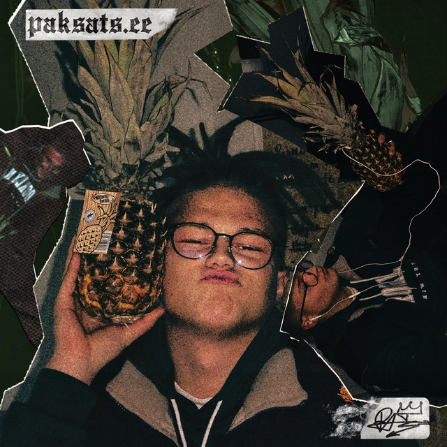 paksats.ee cover art