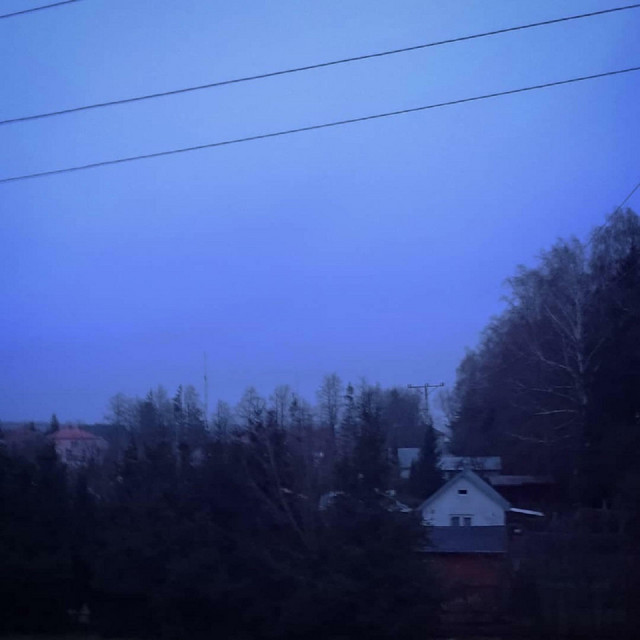 I Was Sitting on a Roof, Looking at the Tops of Trees Covered With Snow cover art