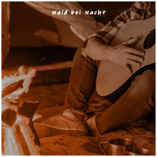 Wald bei Nacht cover art