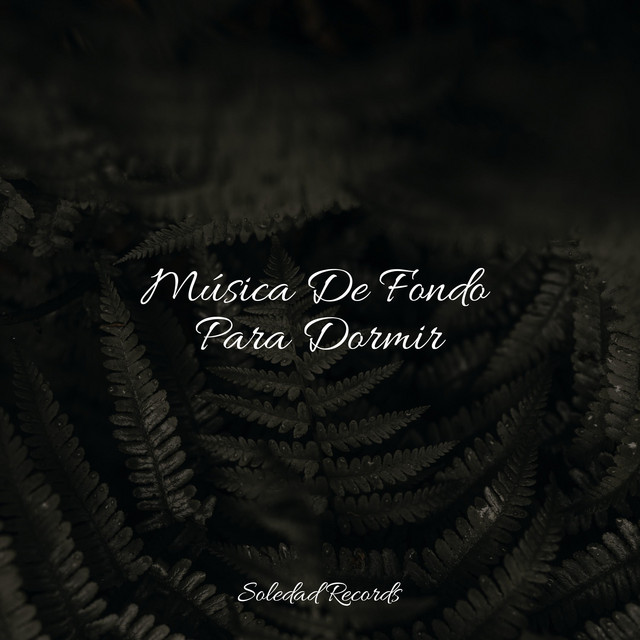 Música De Fondo Para Dormir