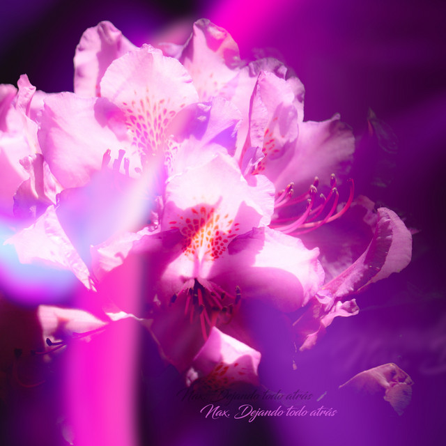 Dejando Todo Atrás cover art