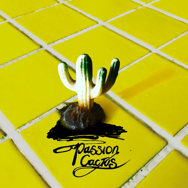 When I Wake Up Single By Passion Cactus Spotify